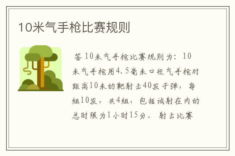 10米气手枪比赛规则