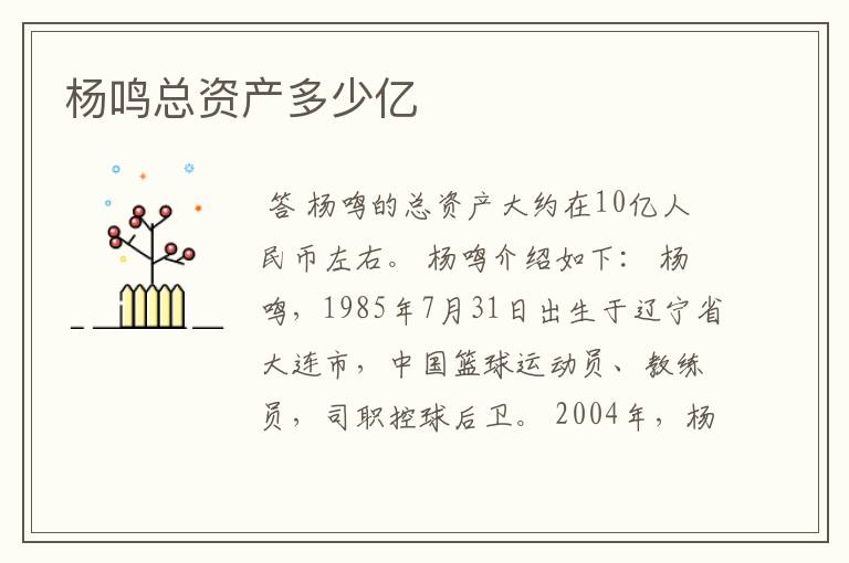 杨鸣总资产多少亿