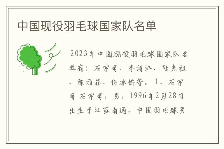 中国现役羽毛球国家队名单