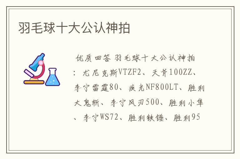 羽毛球十大公认神拍