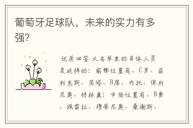 葡萄牙足球队,未来的实力有多强?