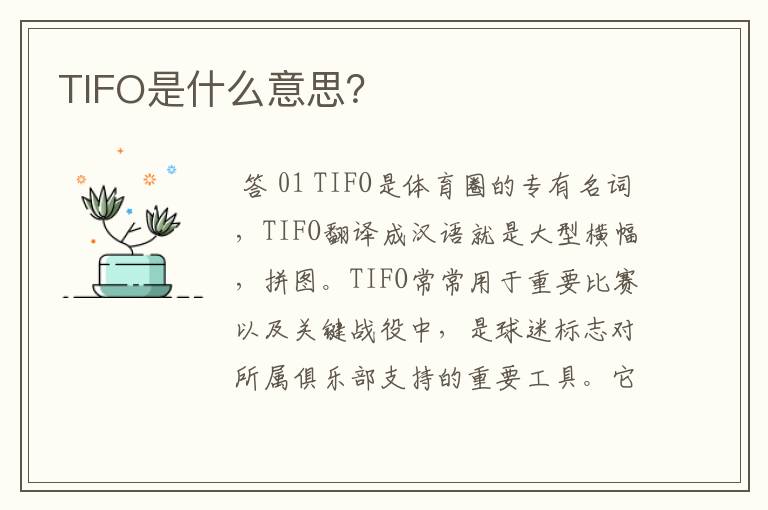 TIFO是什么意思?