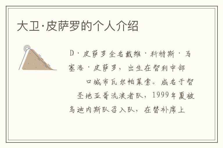 大卫·皮萨罗的个人介绍