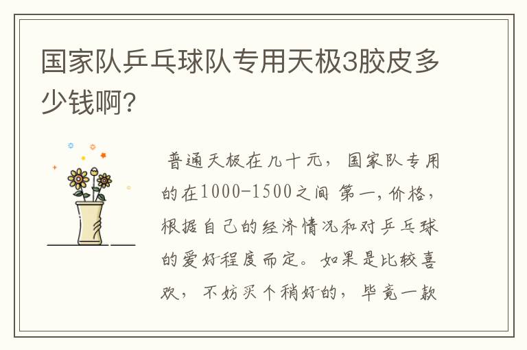国家队乒乓球队专用天极3胶皮多少钱啊?
