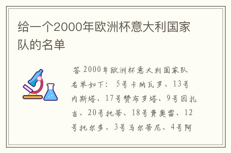 给一个2000年欧洲杯意大利国家队的名单