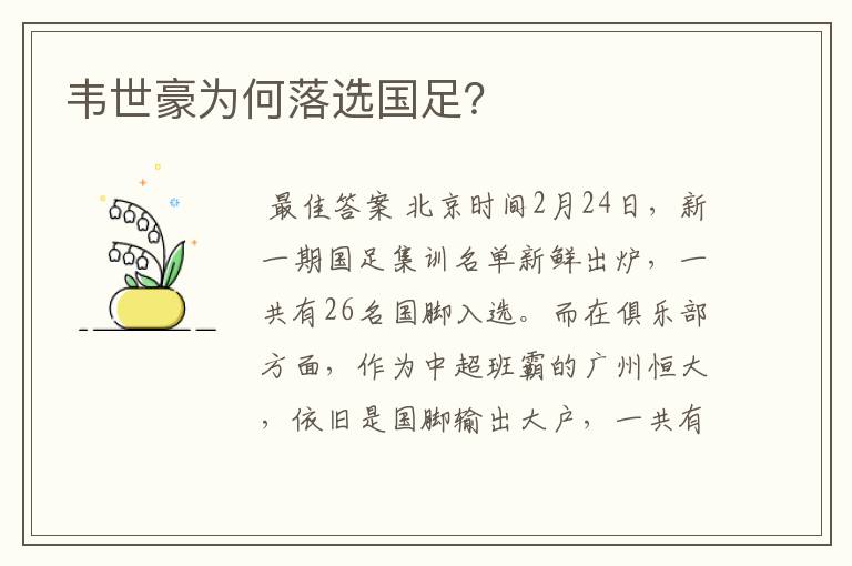 韦世豪为何落选国足?