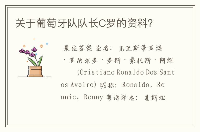 关于葡萄牙队队长C罗的资料？