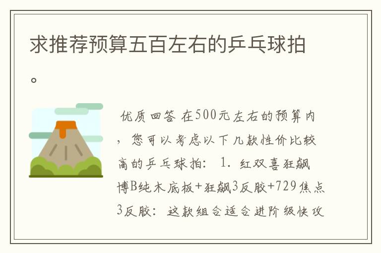求推荐预算五百左右的乒乓球拍。