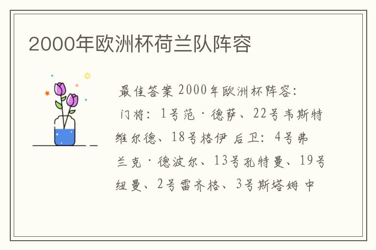 2000年欧洲杯荷兰队阵容