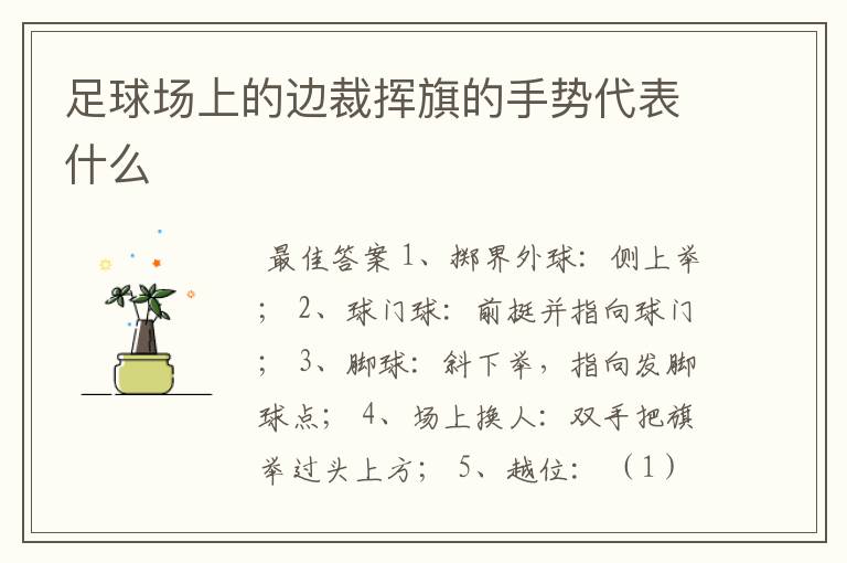 足球场上的边裁挥旗的手势代表什么