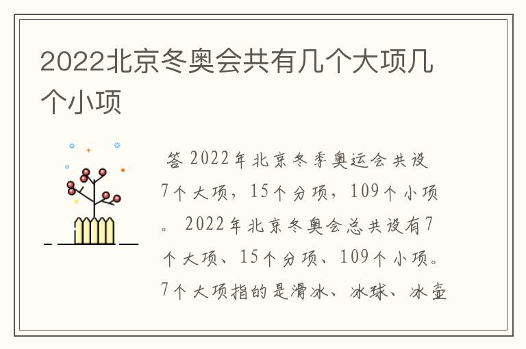 2022北京冬奥会共有几个大项几个小项