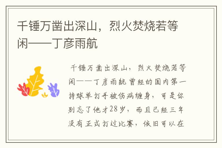 千锤万凿出深山,烈火焚烧若等闲——丁彦雨航