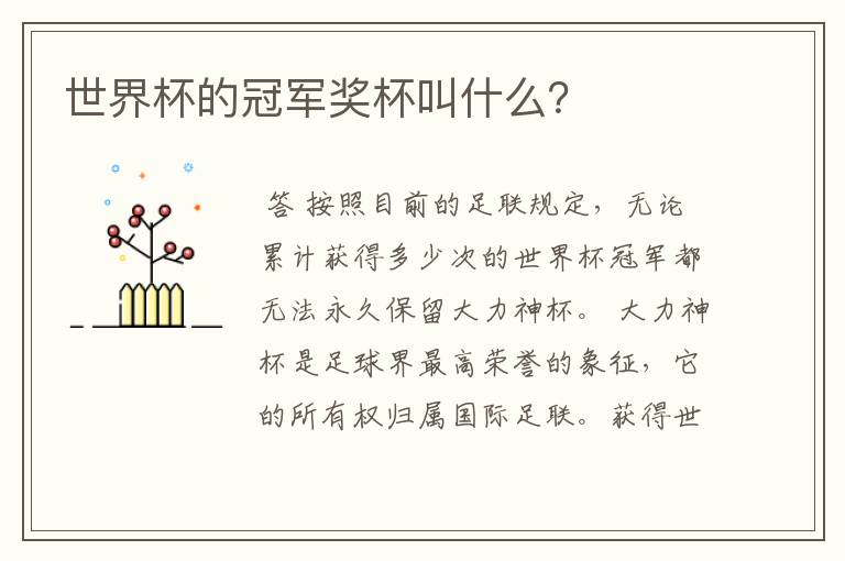 世界杯的冠军奖杯叫什么?