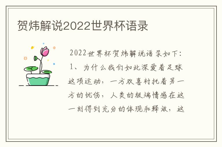 贺炜解说2022世界杯语录