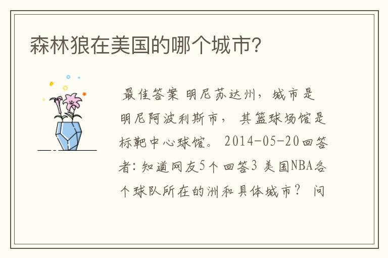 森林狼在美国的哪个城市？