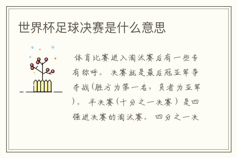 世界杯足球决赛是什么意思