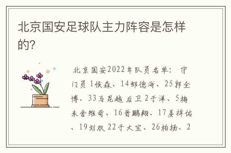 北京国安足球队主力阵容是怎样的?