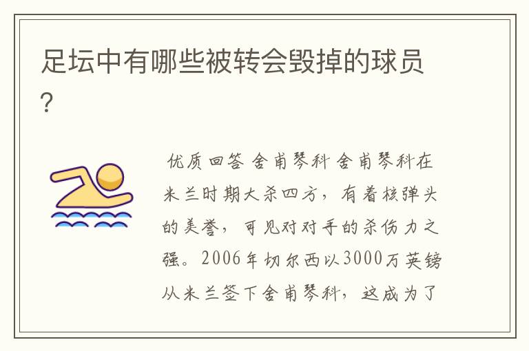 足坛中有哪些被转会毁掉的球员?