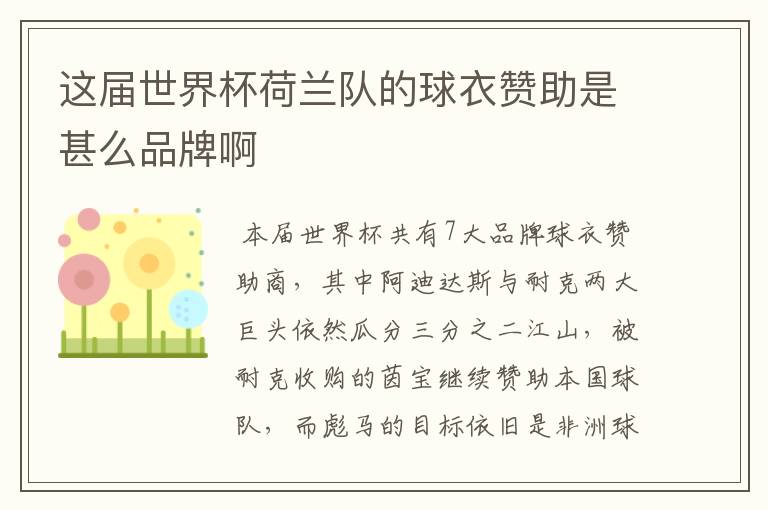这届世界杯荷兰队的球衣赞助是甚么品牌啊