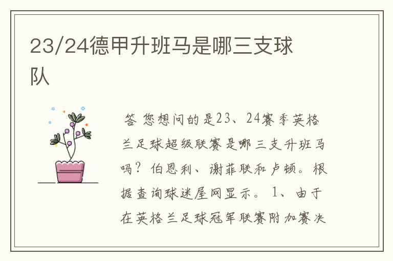 23/24德甲升班马是哪三支球队