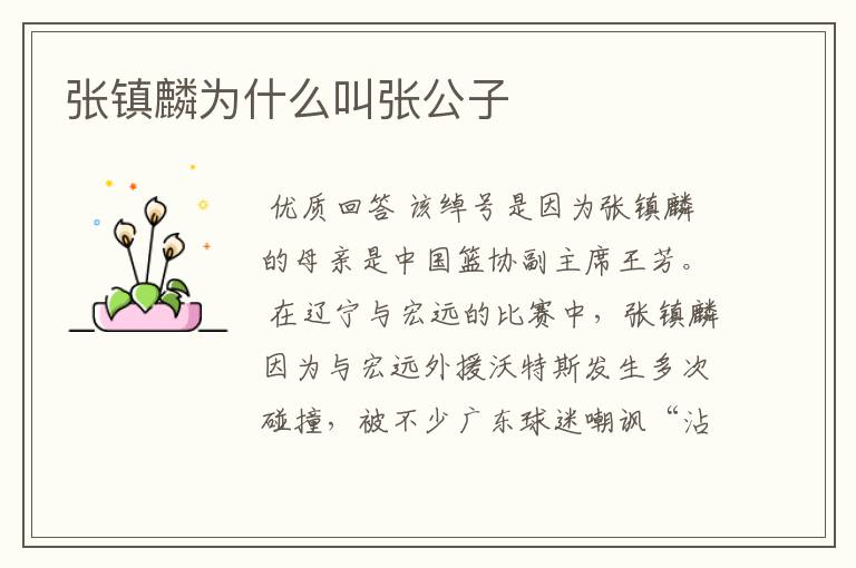 张镇麟为什么叫张公子