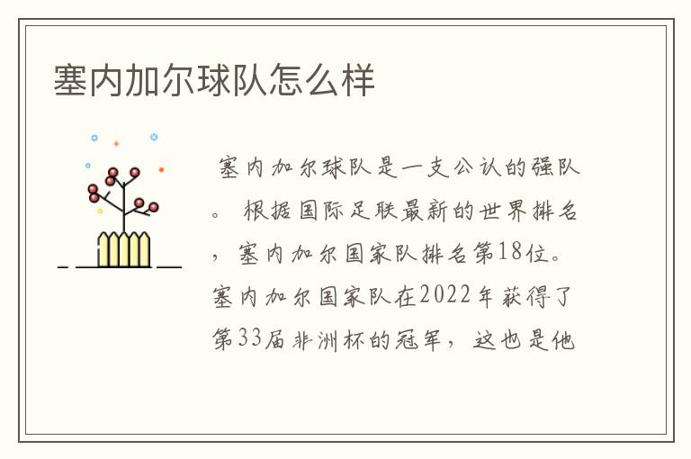 塞内加尔球队怎么样