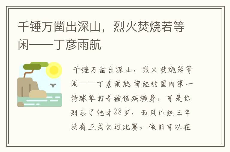 千锤万凿出深山,烈火焚烧若等闲——丁彦雨航