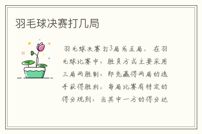 羽毛球决赛打几局