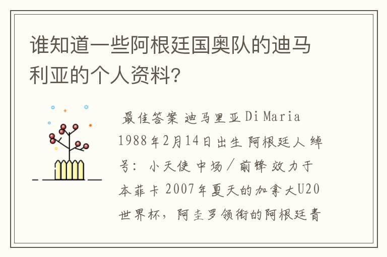 谁知道一些阿根廷国奥队的迪马利亚的个人资料?