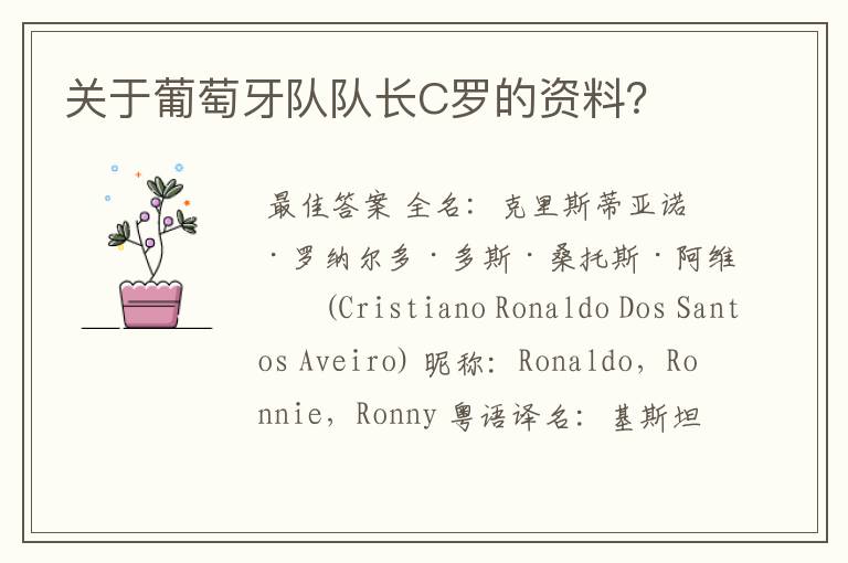 关于葡萄牙队队长C罗的资料?