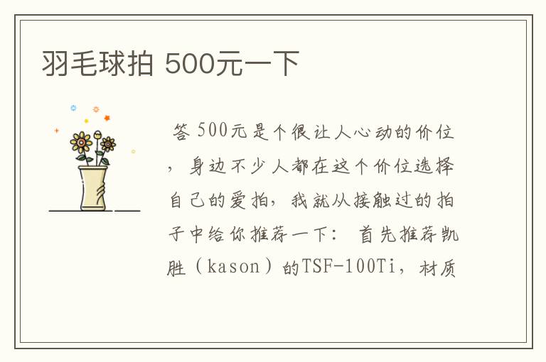 羽毛球拍 500元一下
