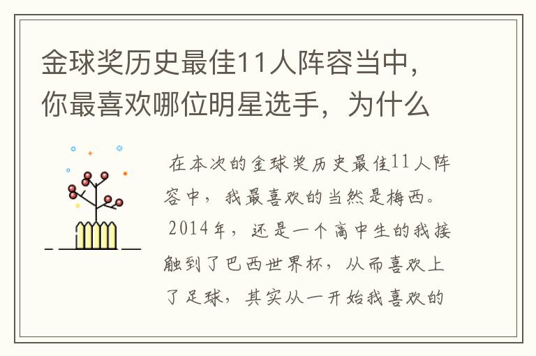 金球奖历史最佳11人阵容当中,你最喜欢哪位明星选手,为什么?