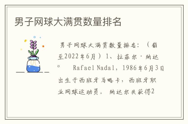 男子网球大满贯数量排名
