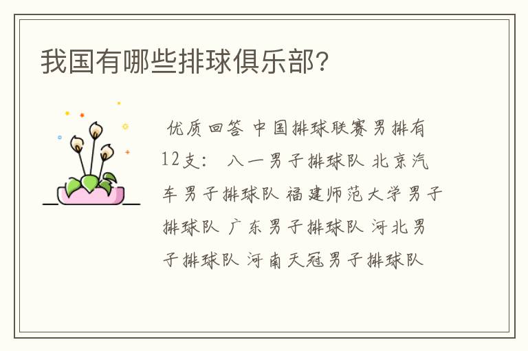 我国有哪些排球俱乐部?