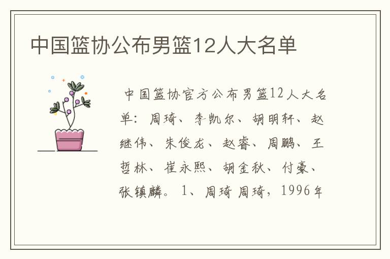 中国篮协公布男篮12人大名单