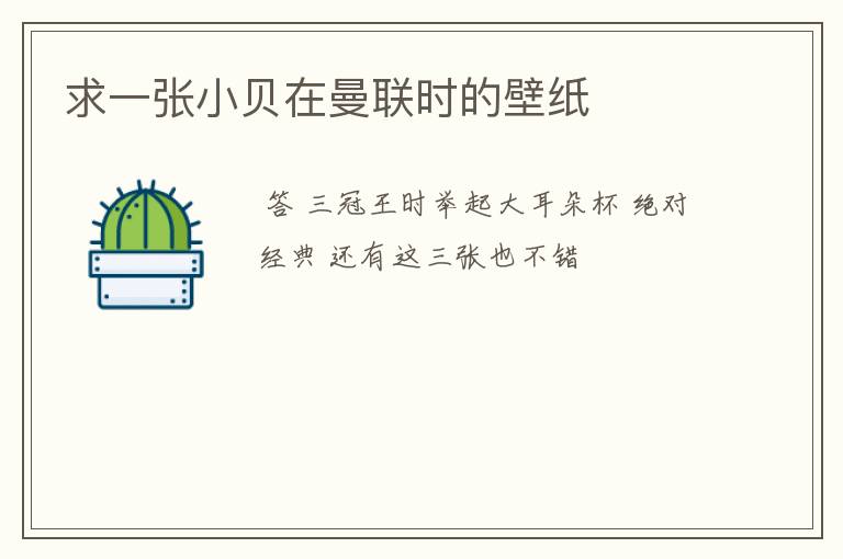 求一张小贝在曼联时的壁纸