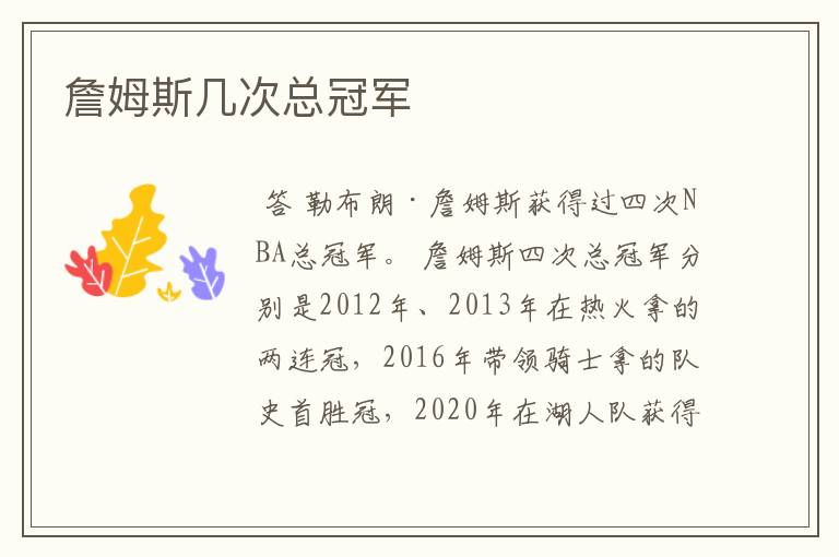 詹姆斯几次总冠军