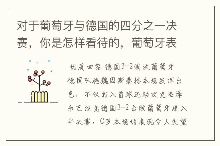 对于葡萄牙与德国的四分之一决赛,你是怎样看待的,葡萄牙表现怎么样啊