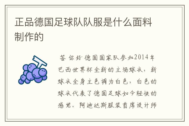 正品德国足球队队服是什么面料制作的