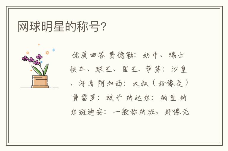 网球明星的称号?