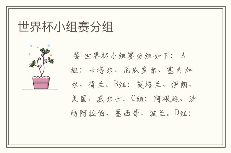 世界杯小组赛分组
