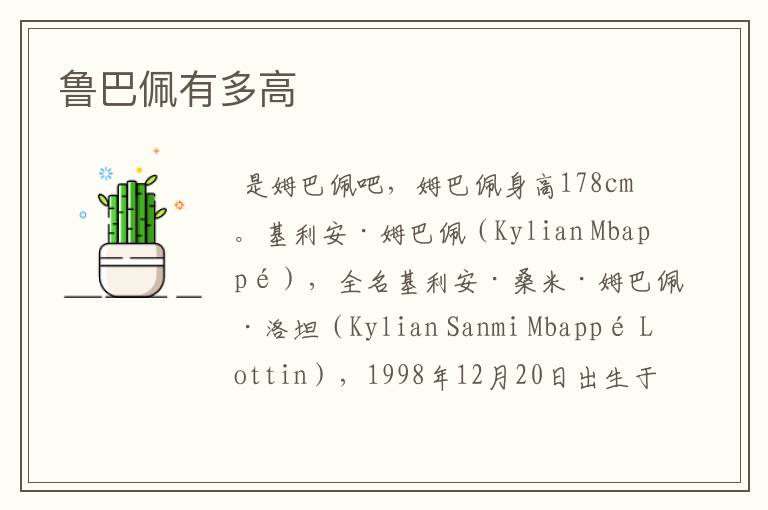 鲁巴佩有多高