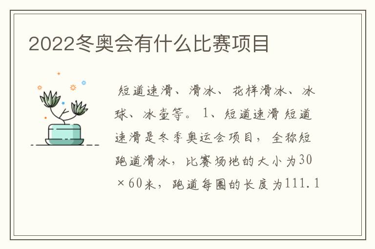 2022冬奥会有什么比赛项目