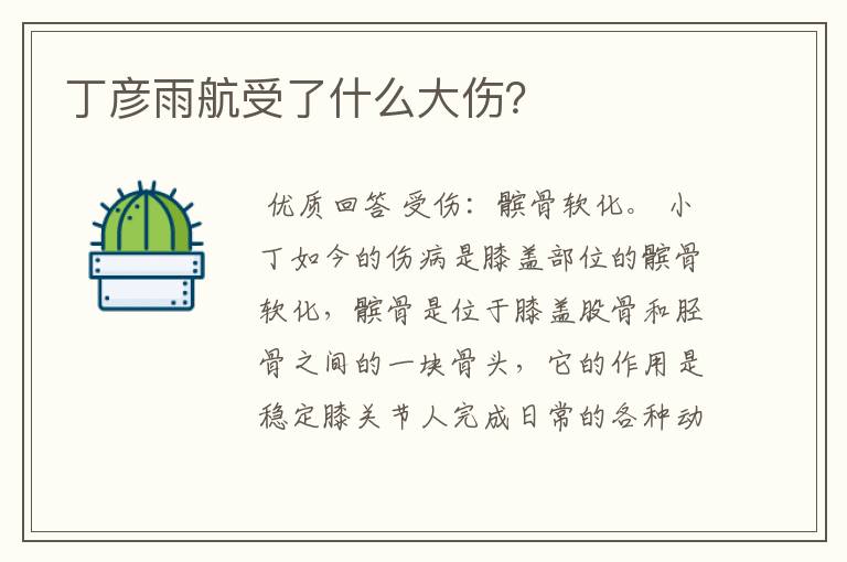 丁彦雨航受了什么大伤?