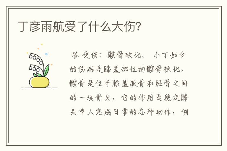 丁彦雨航受了什么大伤?
