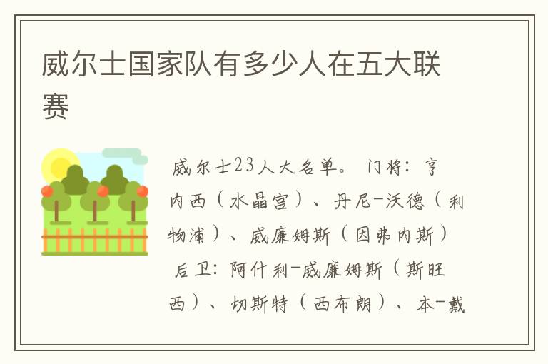 威尔士国家队有多少人在五大联赛
