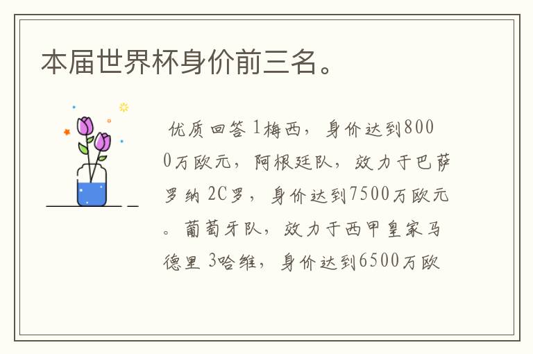 本届世界杯身价前三名。