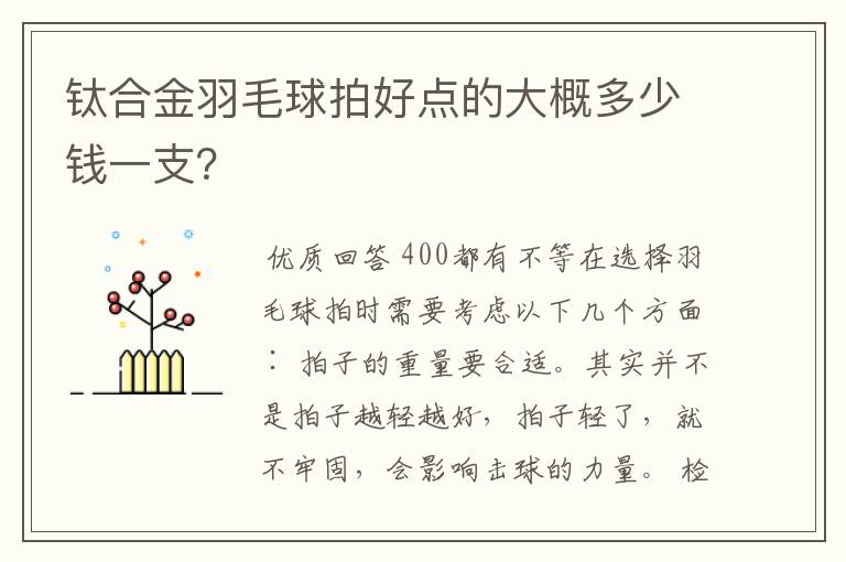 钛合金羽毛球拍好点的大概多少钱一支？