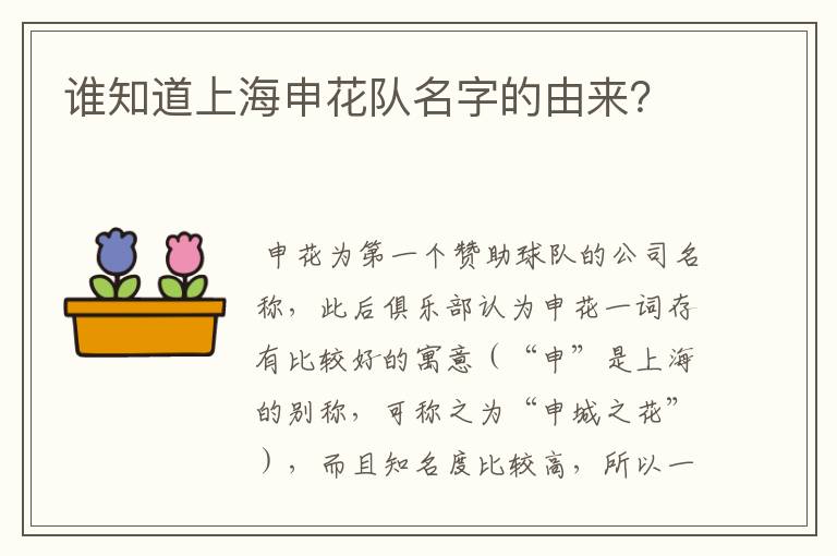 谁知道上海申花队名字的由来?