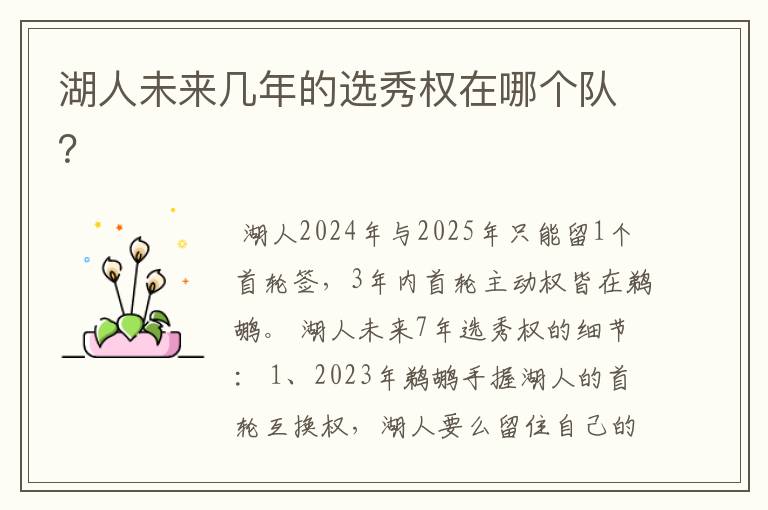 湖人未来几年的选秀权在哪个队?